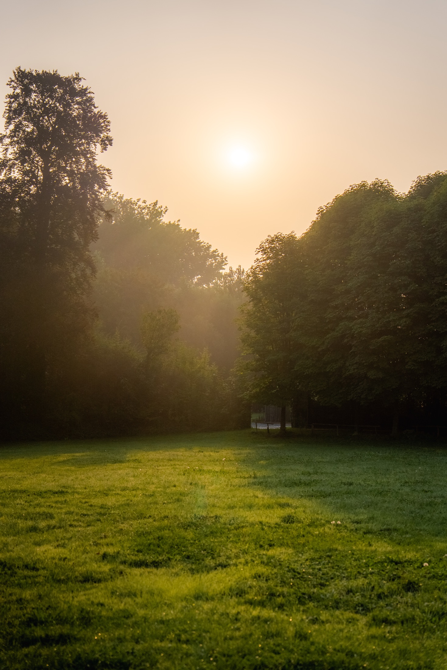 Evening light across the Chateau de Looz lawn